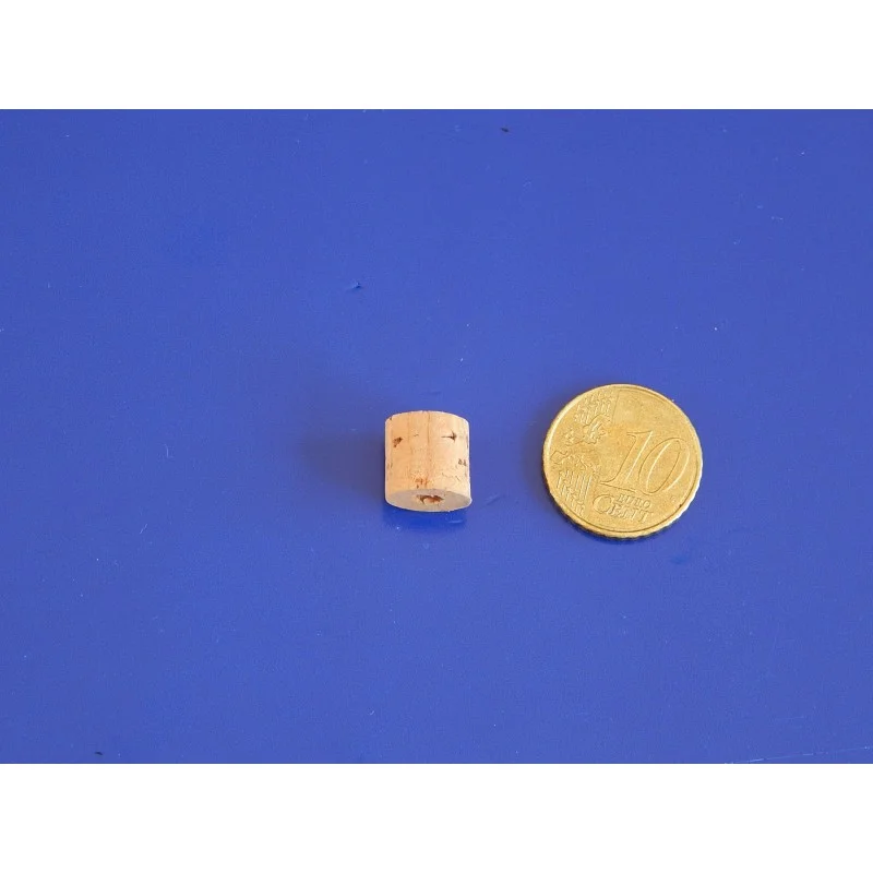 Csak ma Joint en Liège Cylindrique pour Robinet d’Essence Type Plunger