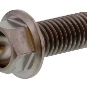 Vis hexagonale Pro Bolt M8X1.25 20mm Titane Outlet