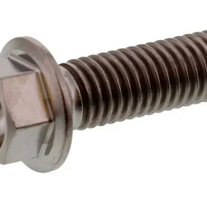 Vis hexagonale Pro Bolt M8x1.25 25mm Titane Szezonális akció