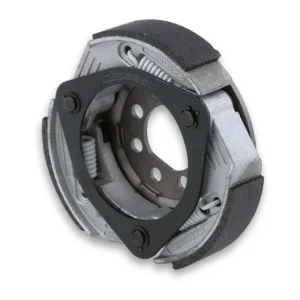 Végkiárusítás Embrayage Malossi Maxi Fly Clutch Piaggio Typhoon / Hexagon