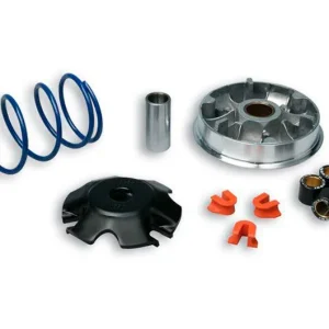 Variateur Malossi Multivar Peugeot 100 AC 2T Expressz kézbesítés