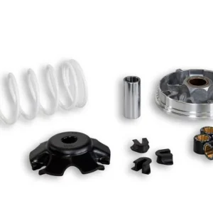 Csak ma Variateur Malossi Multivar 2000 Honda Bali / SH 100 2T