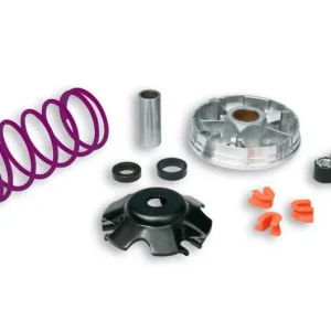 Variateur Malossi Multivar 2000 Piaggio Fly / Free Olcsóbb