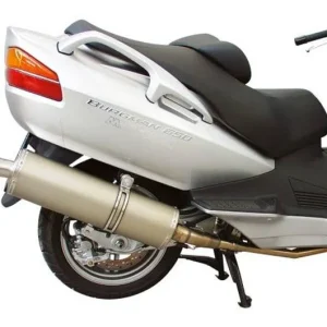 Azonnal elérhető Pot d‘échappement Malossi Maxi Wild Lion Suzuki Burgman 650