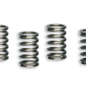 Kihagyhatatlan ajánlat Ressorts d‘embrayage Malossi Racing Honda NSF 100