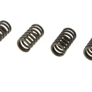 Akció Ressorts d‘embrayage EBC 10% Renforcé x4 Honda CBF 250 2004-2006