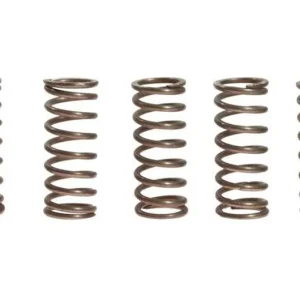 Biztonságos fizetés Ressorts d‘embrayage EBC 10% Renforcé x5 Suzuki VL 800 C800 / VZ 800 M800 Z ...