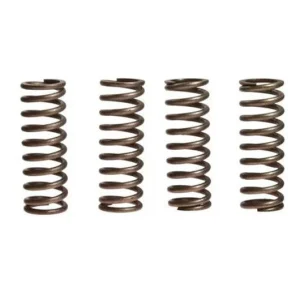 Ressorts d‘embrayage EBC 10% Renforcé x6 Honda CB 1000 R / CB 1000 RA ... Utolsó esély