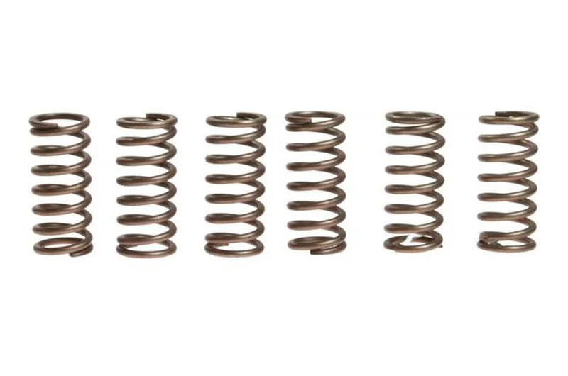 Akciós ár Ressorts d‘embrayage EBC 10% Renforcé x6 Honda VFR 800 FI 1998-1999 / Triumph Daytona 675 2006-2012