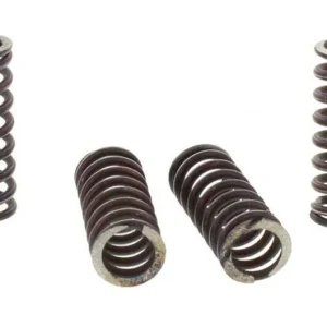 Ressorts d‘embrayage TRW 10% Renforcé x4 Honda CB 600 F / CBF 600 N ... Akciós ár