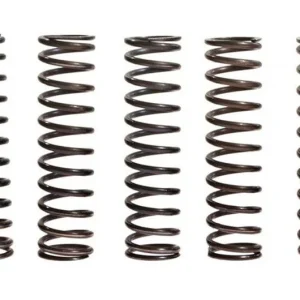 Ressorts d‘embrayage TRW 10% Renforcé x5 Suzuki GSX-R 1000 / Kawasaki ZX-9R 900 F ... Gyors szállítás