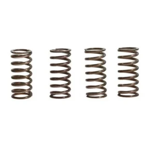 Ressorts d‘embrayage TRW 10% Renforcé x6 Aprilia RSV 1000 / SL 1000 ... Kedvezményes ár