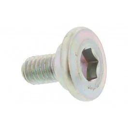 Szezonális akció Vis de disque de frein arrière OEM M6x1.0x12mm Kawasaki KMX 125 B 1991-2003