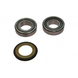 Kit roulements de direction All Balls Gas Gas EC 250 / EC 250 FSE ... Végkiárusítás